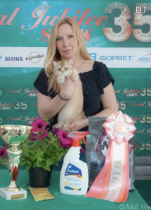 Elena’s Dream - питомник британской, купить котенка у заводчика в Москве, отзывы и контакты питомника