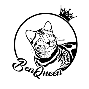 Питомник BenQueen: котята от заводчика - фото 2