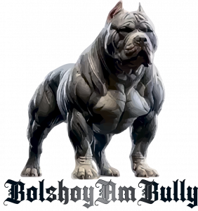 BolshoyAmBully - купить американского булли в питомнике Москвы