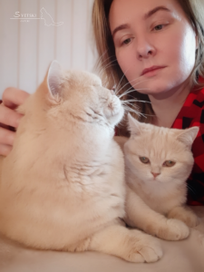 Питомник SVETSKI*RU: котята от заводчика - фото 6