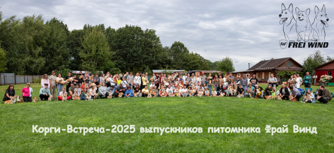 Питомник Фрай Винд: щенки от заводчика - фото 5