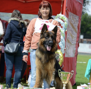 Питомник Фом Байкал Хаус: щенки от заводчика - фото 4