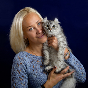 Питомник VinniMur: котята от заводчика - фото 4