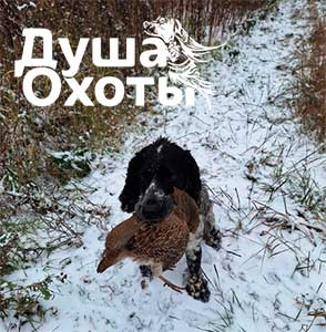 Питомник Душа Охоты - фото 4