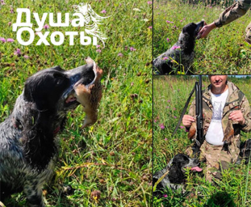 Питомник Душа Охоты - фото 6