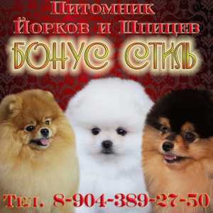Питомник Бонус Стиль: щенки от заводчика - фото 5