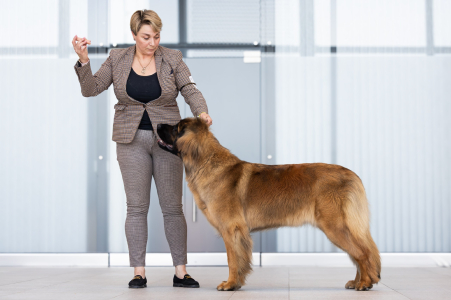Питомник Lowenherz vom Priorat: щенки от заводчика - фото 3