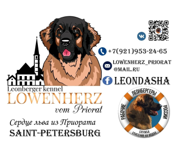 Питомник Lowenherz vom Priorat: щенки от заводчика - фото 6