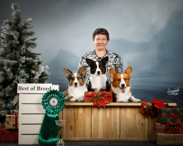 Питомник Вингардиан - фото 4