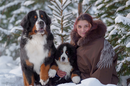 Питомник Дюрбахлер Клаб: щенки от заводчика - фото 3