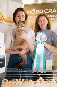 mon_SeMari - купить шотландскую в питомнике Видном