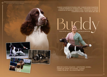 Питомник Westmyrr: щенки от заводчика - фото 3