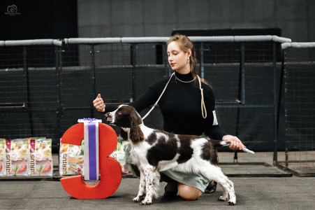 Питомник Westmyrr: щенки от заводчика - фото 4