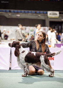 Питомник Westmyrr: щенки от заводчика - фото 5