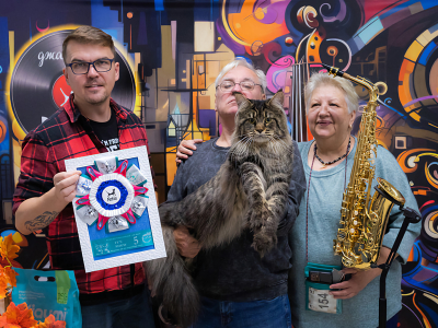 Питомник Maritaicor fortuna: котята от заводчика - фото 4