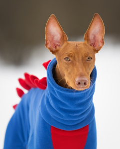 Питомник АРДИКАНИ - фото 5