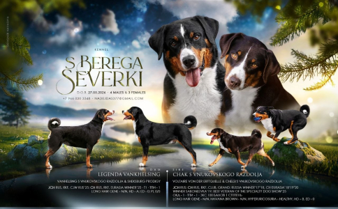 С Берега Северки