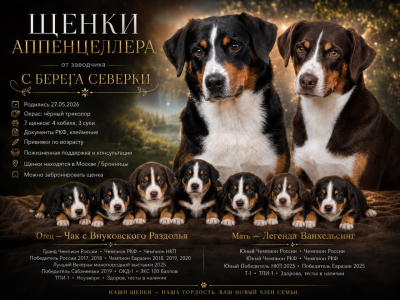 Питомник С Берега Северки - фото 2
