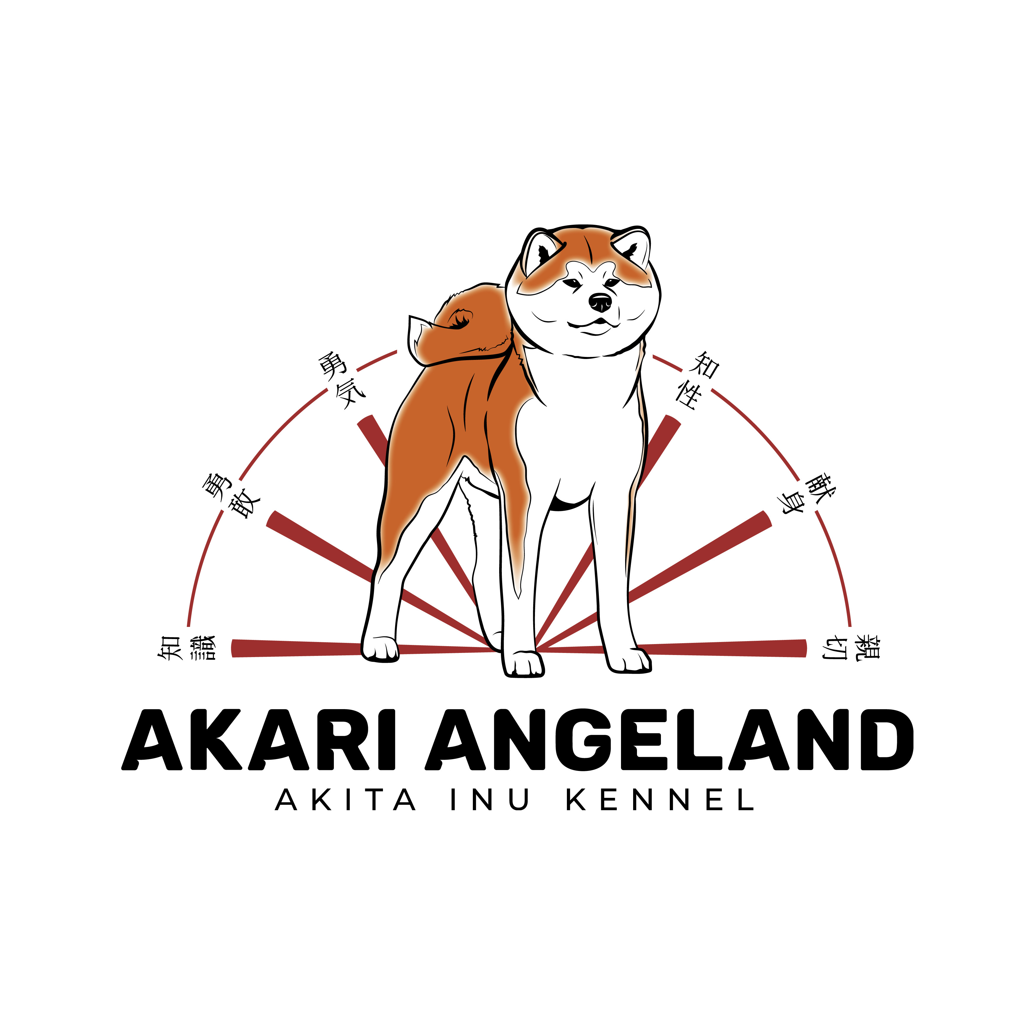 Akari Angeland