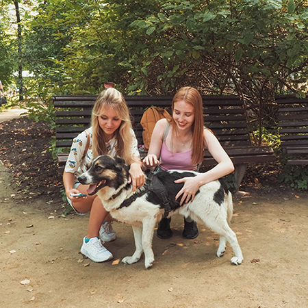 Бескудниково - приют для собак в Москве, отзывы и контакты приюта