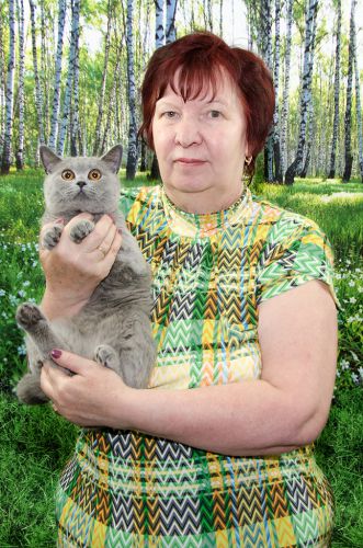Bonnie Blue - питомник британской, купить котенка у заводчика в Москве, отзывы и контакты питомника