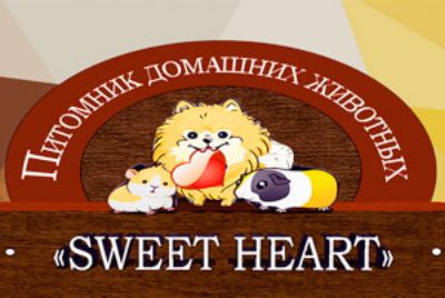Sweet Heart - питомник шпица, купить щенка у заводчика в Москве, отзывы и контакты питомника